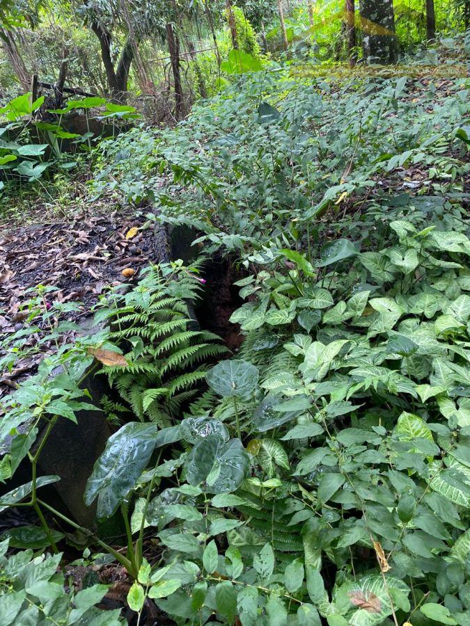 WhatsApp Image 2026-01-22 at 16.47.13 (12).jpeg